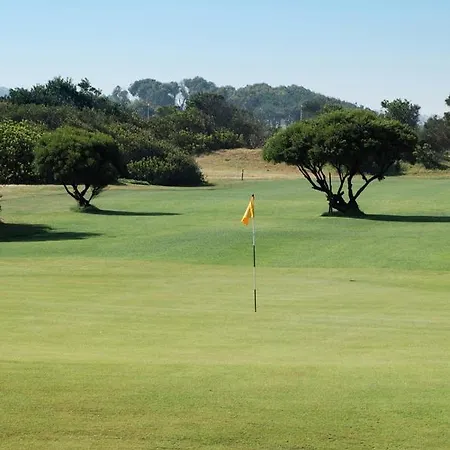 Magnifico T2 De Esmoriz