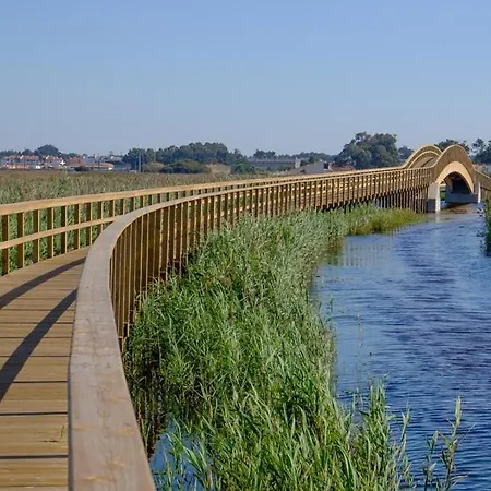 Appartement Magnifico T2 De *