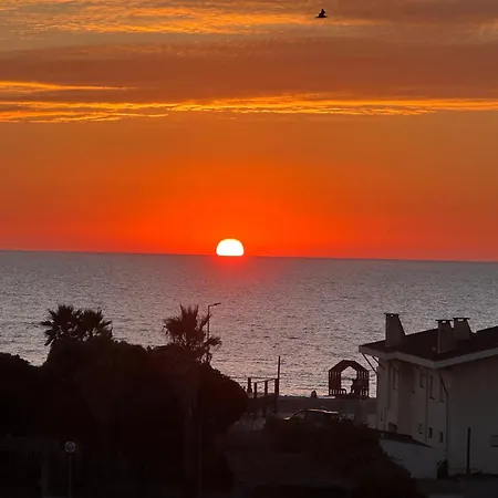 Magnifico T2 De Appartement *