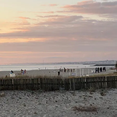 Magnifico T2 De Appartement *