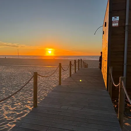 Magnifico T2 De Appartement *